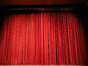 ТВ Театар: Слуга двају господара", Бошко Буха