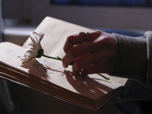  У друштву песника 