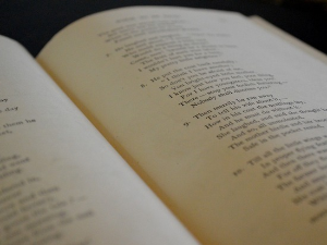  У друштву песника 