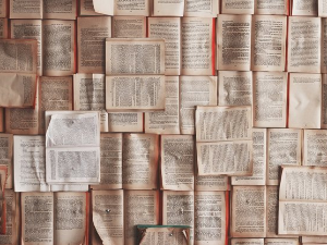  У друштву песника 