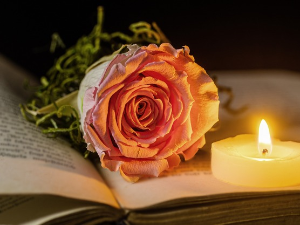  У друштву песника 