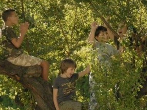 Мајмунска посла