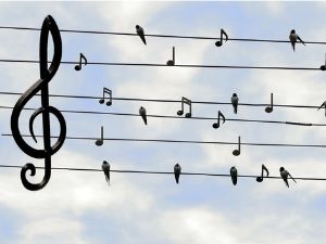  Ритам звезда - Оркестри 