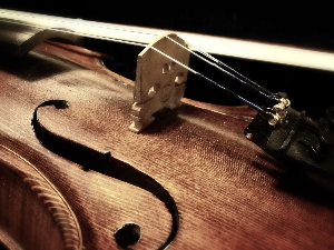 Теофил Миленковић победник Међународног такмичења Музичке омладине