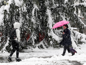 Србија под снегом: Поједини путеви непроходни, стабла пала на аутомобиле, више села без струје, расте водостај река
