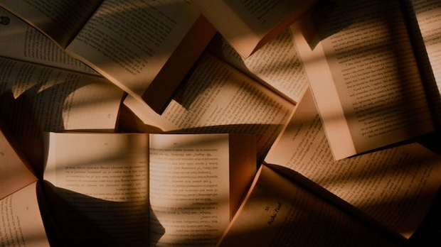 О преводиоцима и преводилаштву – говоре Јелена Стакић и Михаел Антоловић   