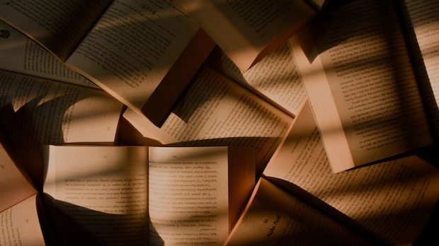 Наташа Миловић: Драма алтер-идентитета (2)   