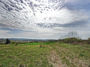 Облачно, повремено с кишом – највиша температура до 20 степени
