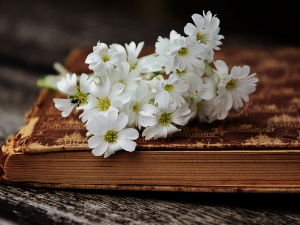  У друштву песника 