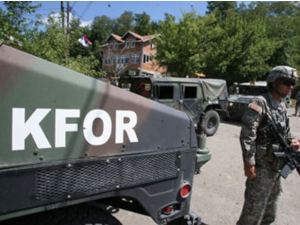 Кфор одобрио летове приватних авиона у циљу вакцинације лисица против беснила