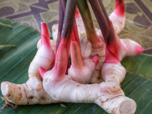 Да ли сте чули за галангал, личи на ђумбир и куркуму, а није