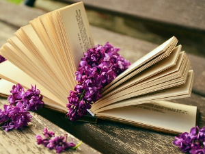  У друштву песника 