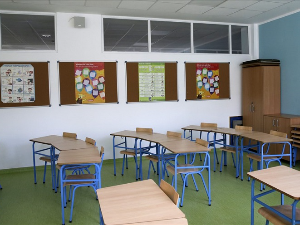 Насиље у образовним установама – јесу ли директори једино одговорни