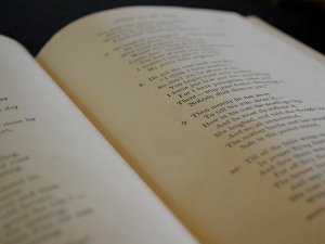  У друштву песника 