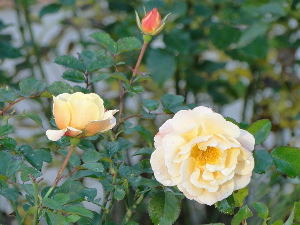 Смена сунца и облака – температура до 23 степена