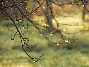 Облачно и кишовито - температура до 22 степена