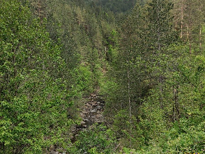 Спасиоци Горске службе у акцији спасавања, жена упала у кањон Црне реке