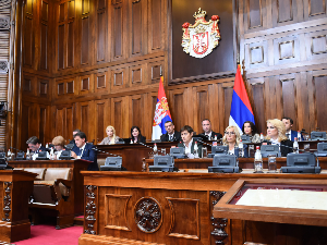 Посланици настављају расправу о безбедносној ситуацији