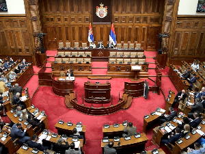 Скупштина о безбедносној ситуацији, функционисању система и масовним убиствима, насиљу, митингу и протестима