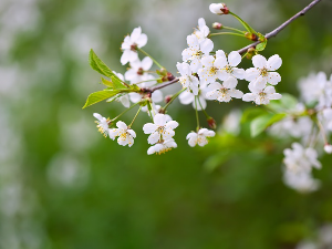 Време нестабилно – облаци, киша и температура до 28 степени