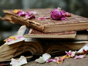  У друштву песника 