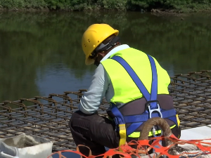 Атанацковић: Изменама закона против страха од запошљавања странаца