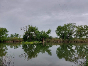 Еко перспективе: Загађење река