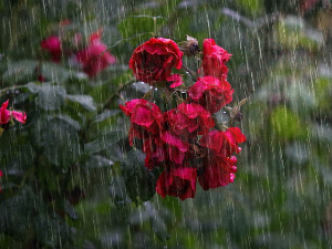 РХМЗ упозорава на пљускове, температура данас до 25 степени