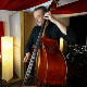 36. Београдски џез фестивал: Ненад Василић, bass and strings