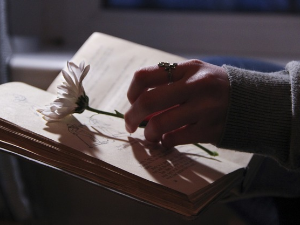  У друштву песника 