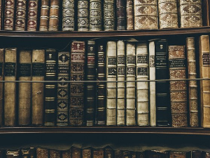  У друштву песника 