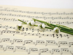 Вокални ансамбли - The King sisters