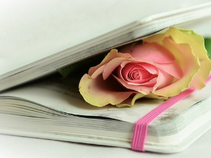  У друштву песника 