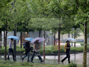 Киша и пљускови, поподне престанак падавина