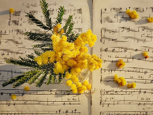  Компас - Музика са свих меридијана,Светски дан музике 