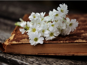  У друштву песника 