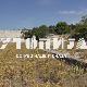 Утопија: Острво наде и очаја, 1-10