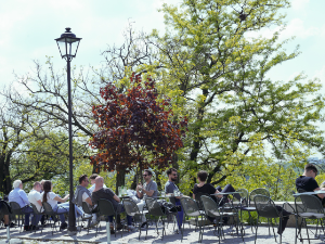 Прави летњи дан, температура до 34 степена