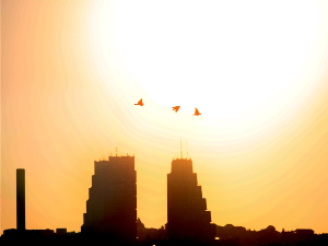 Врео дан пред нама, како правилно користити клима-уређаје