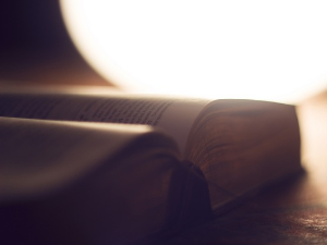  У друштву песника 