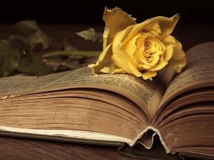  У друштву песника 