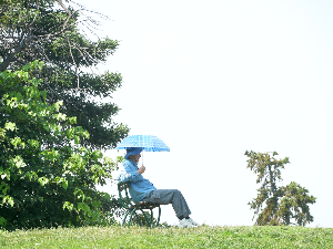 Пре подне сунчано и топло, после подне јаче наоблачење, пљускови и олујни ветар