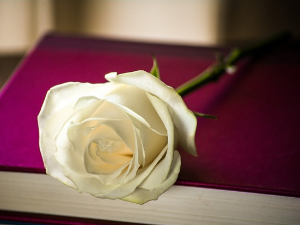  У друштву песника 