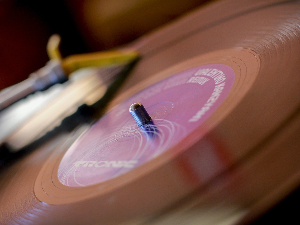 We care about disco!!!