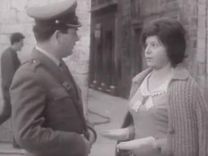 Палма међу палмама