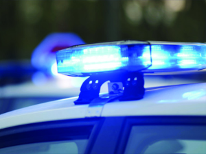 МУП: Додељено полицијско обезбеђење инспекторима Миленковићу и Митићу