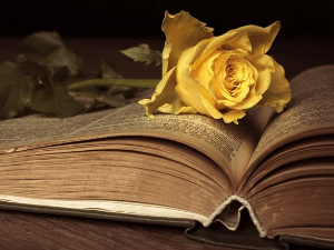  У друштву песника 