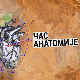  Час анатомије: Уметност и стварност у доба колере