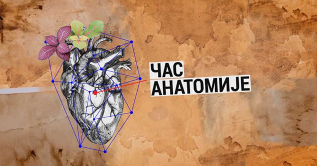  Час анатомије: Уметност и стварност у доба колере