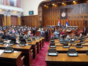 Посланици расправљали о формирању Анкетног одбора, полемика о томе да ли је систем заказао